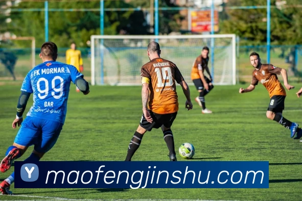 博亚体育APP 体育赛事宣传图