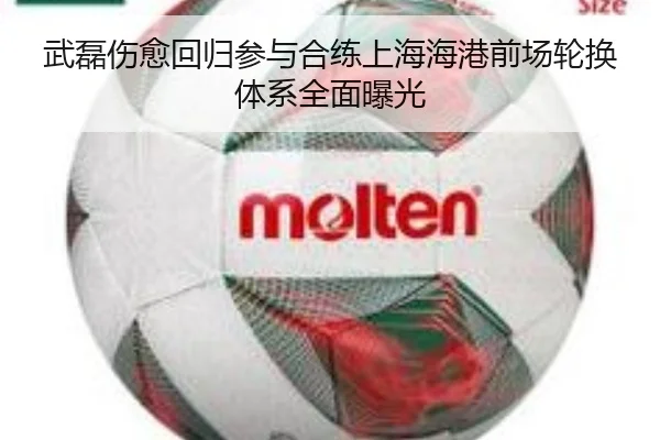 武磊伤愈回归参与合练上海海港前场轮换体系全面曝光